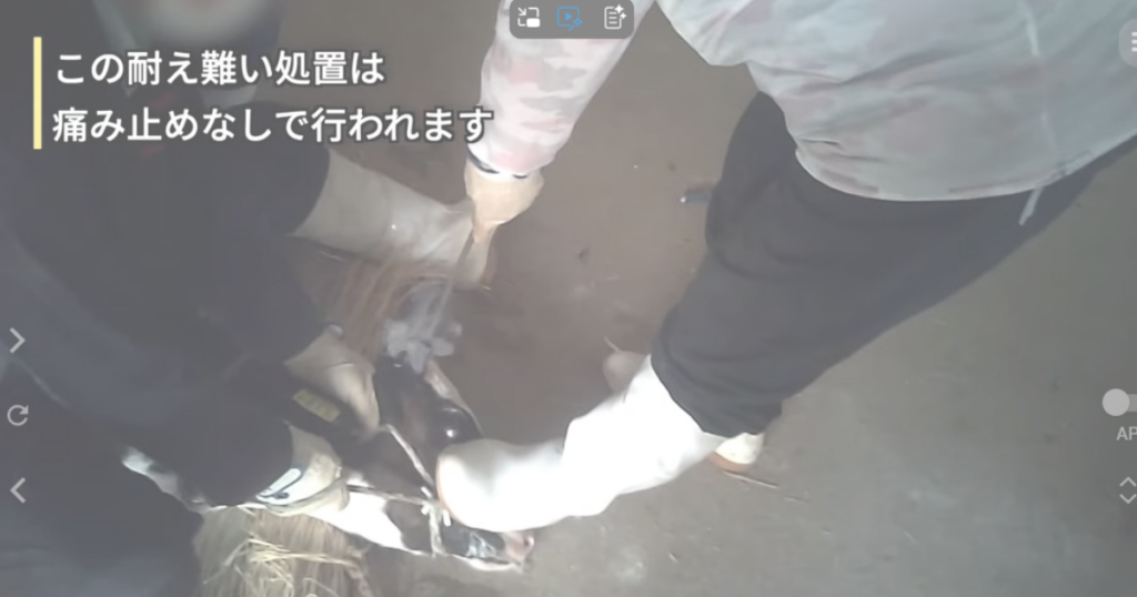 茨城県畜産センター