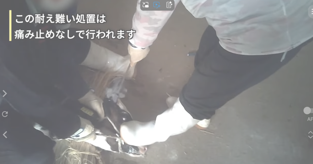 茨城県畜産センター