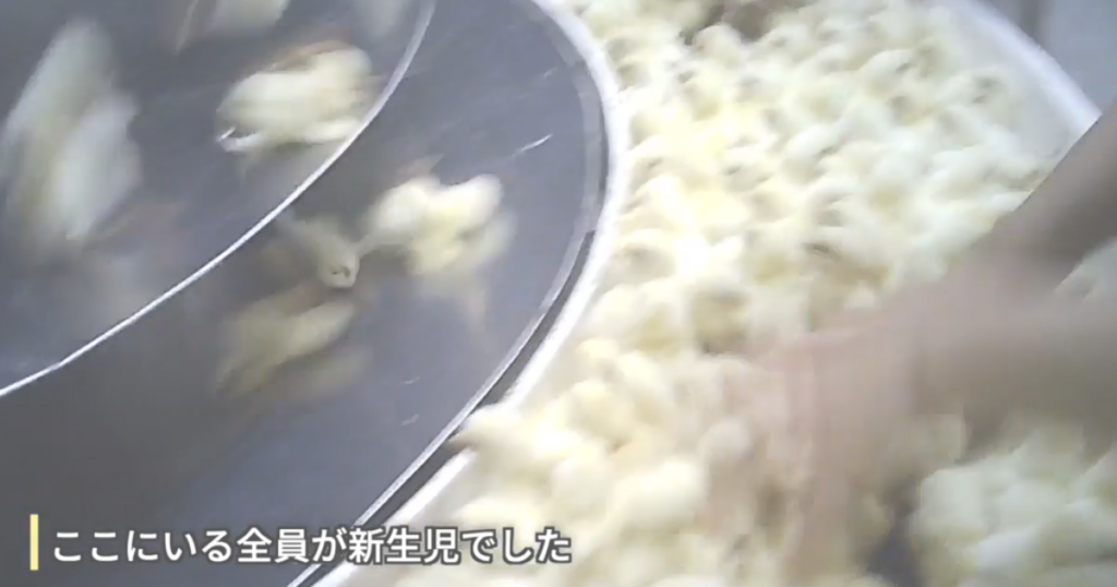 丸紅子会社　ウェルファムフーズ