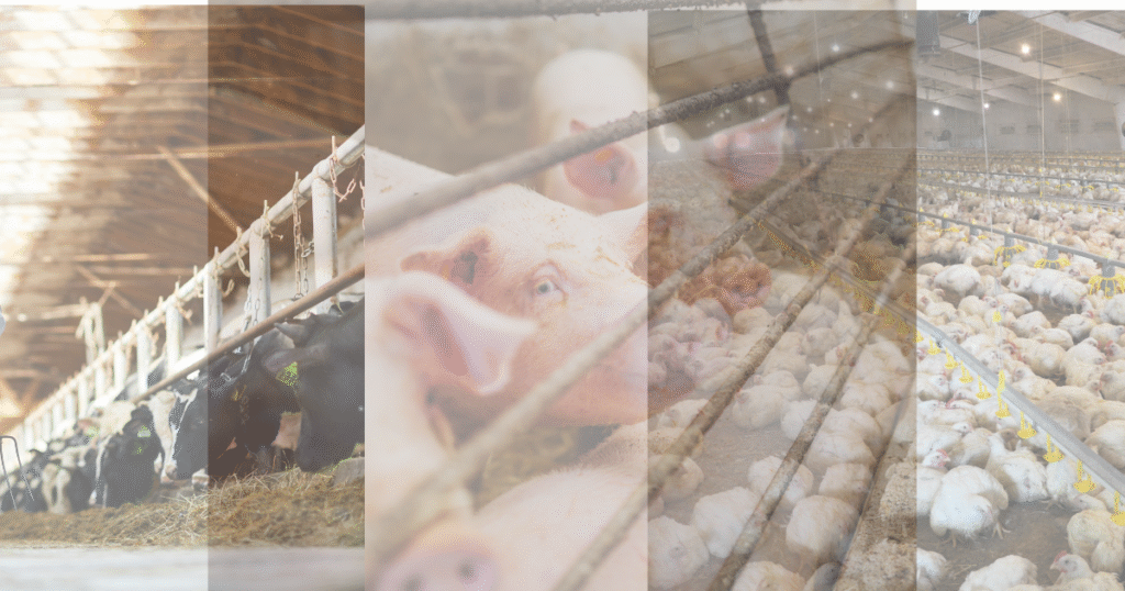 家畜を表す生成AIイメージ