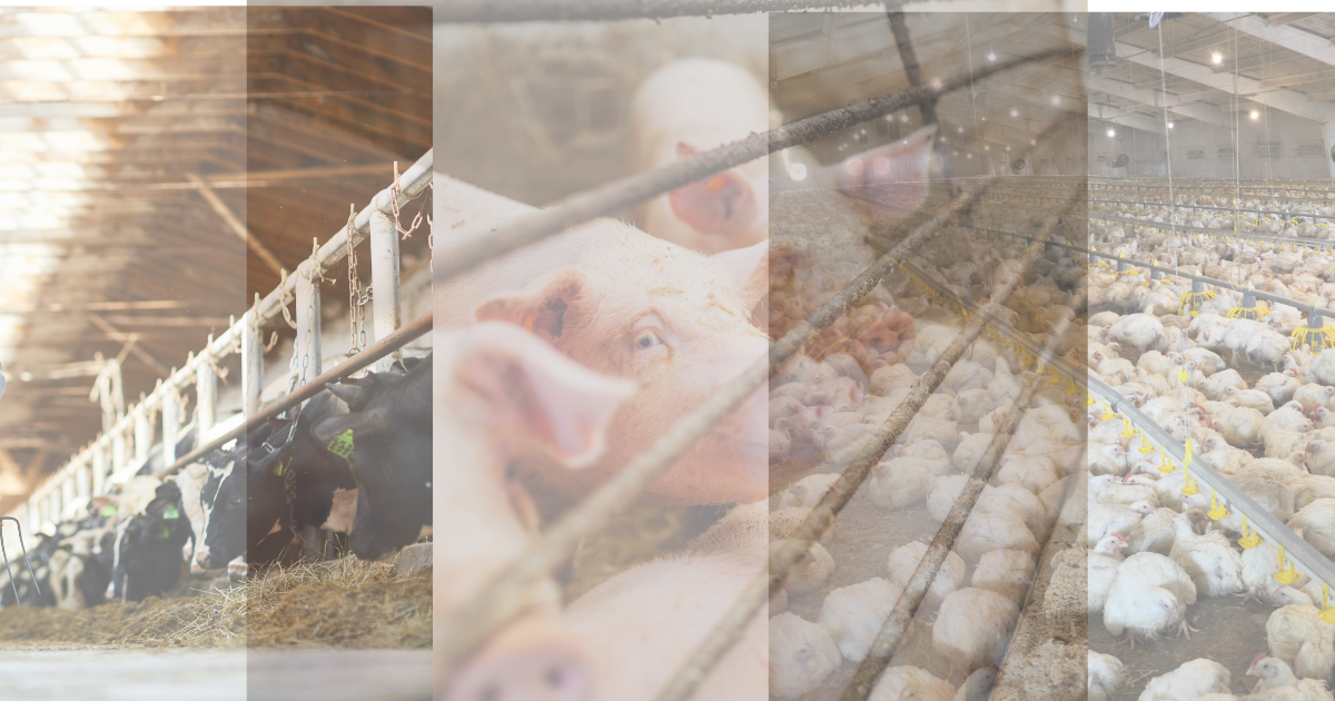 家畜を表す生成AIイメージ