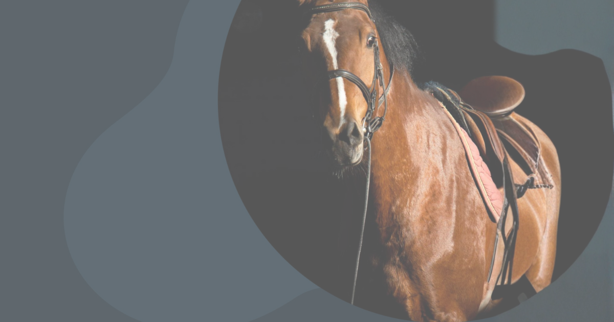 競馬産業の問題を表すイメージ画像（edit.org素材）