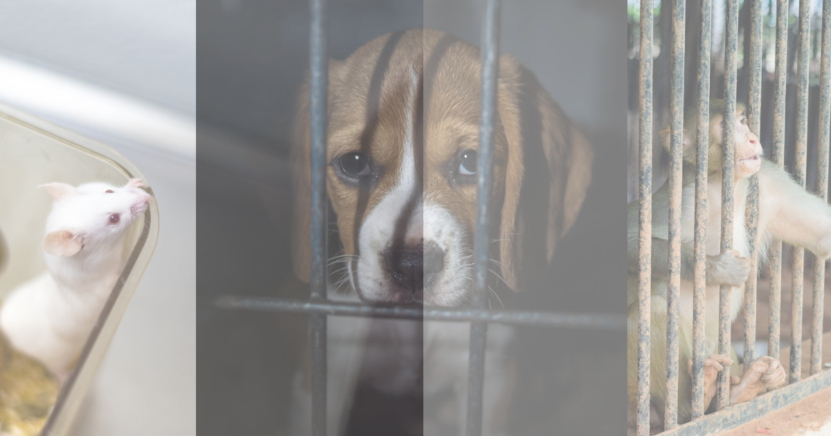 動物実験を表す生成AIイメージ