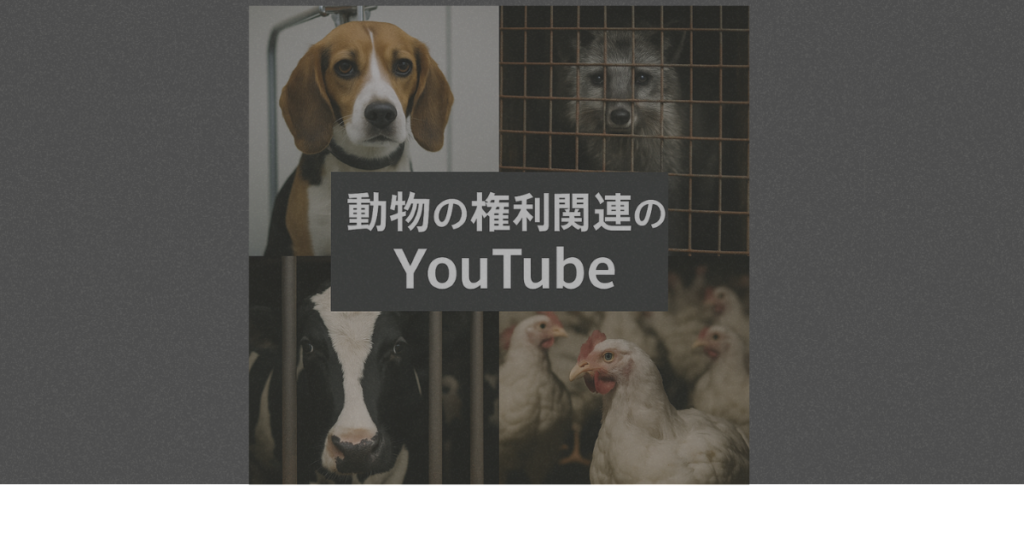動物の権利関連のyoutube