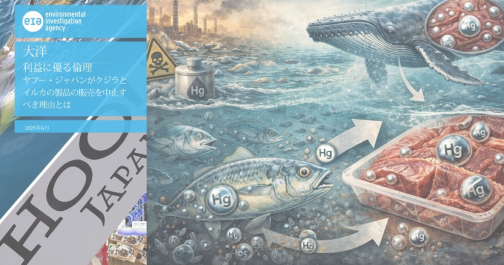鯨肉調査レポート