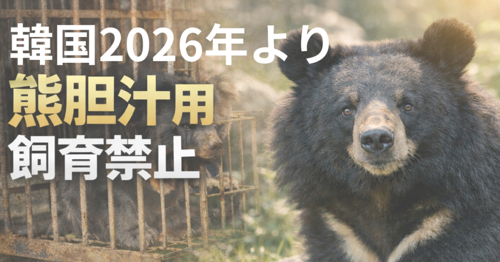 韓国・熊胆汁用飼育禁止――長年の動物福祉運動が実を結んだ歴史的決断　イメージ画像
